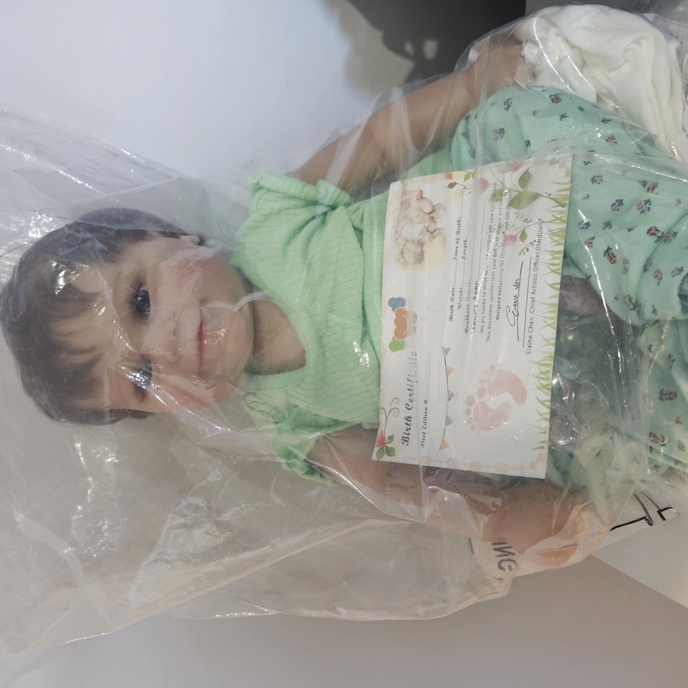 Reborn Baby Doll in Green Outfit